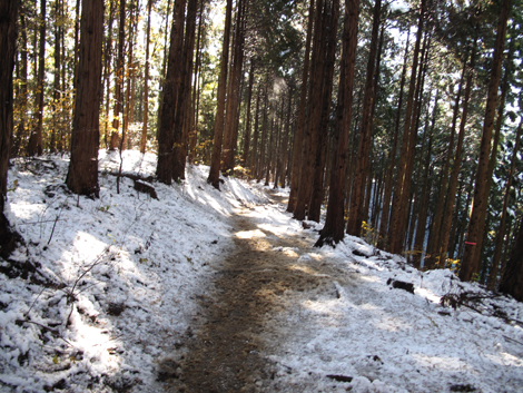 20161125hike (255)